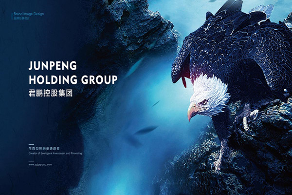 深圳VI設計公司