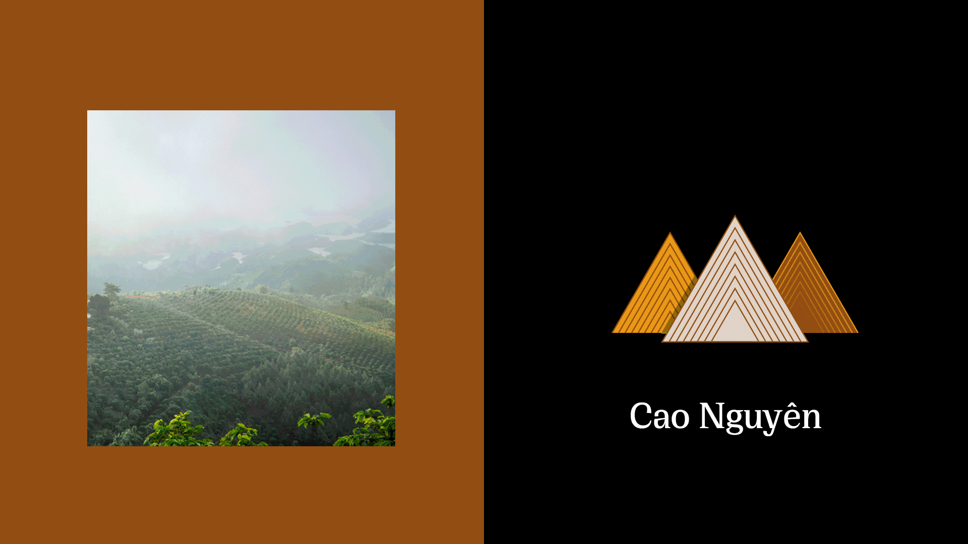 Sunburned Plateau 包裝