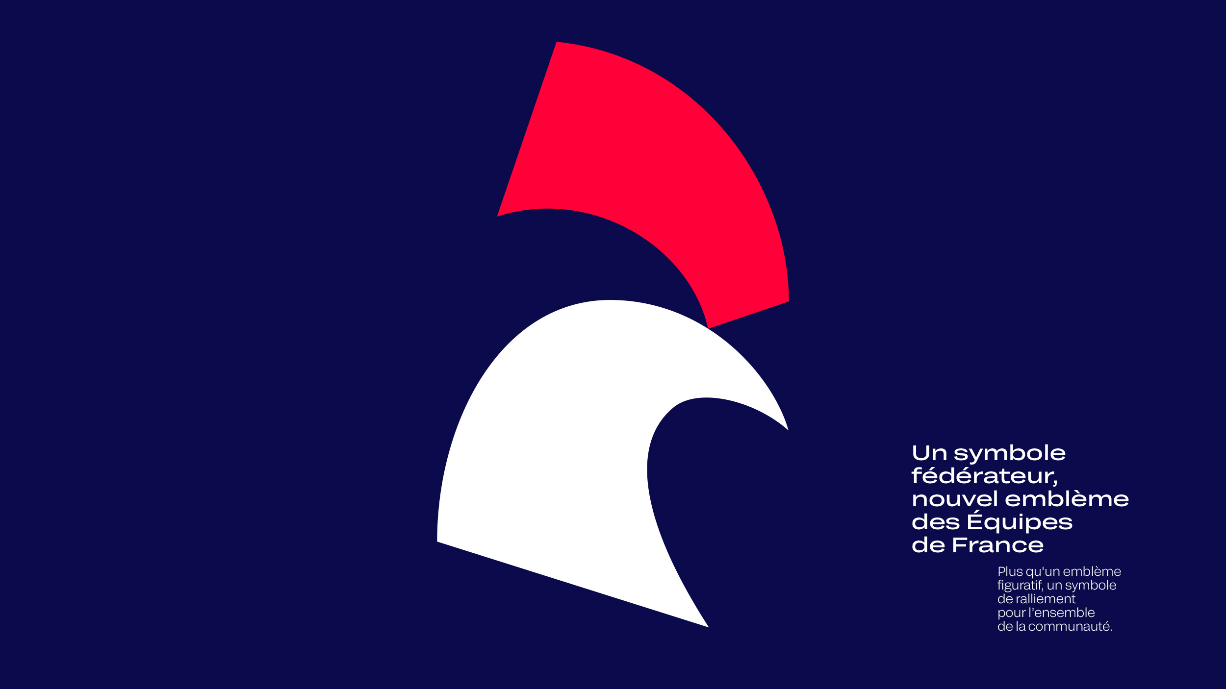 法國(guó)全國(guó)柔道聯(lián)合會(huì) 新LOGO